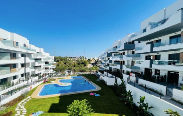 Wiederverkauf - Wohnung - Villamartin - Villamartín