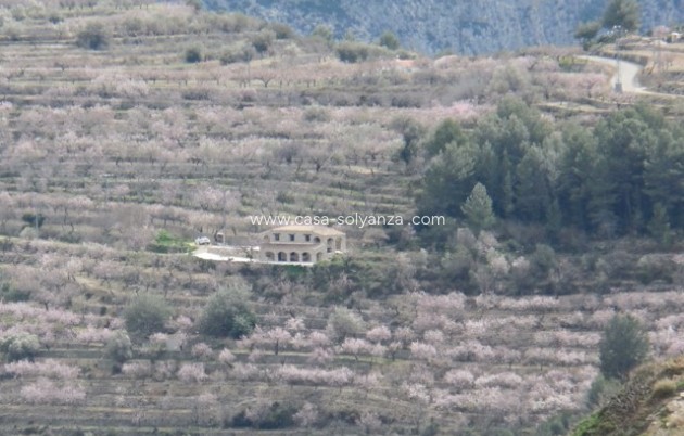 Revente - Country Property/Finca - Tárbena - Inland