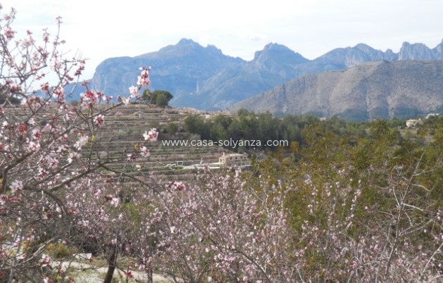 Revente - Country Property/Finca - Tárbena - Inland