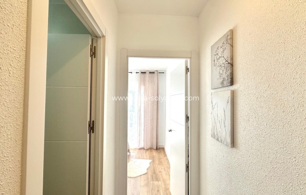 Revente - Maison de ville - Torrevieja - Estacion Autobuses