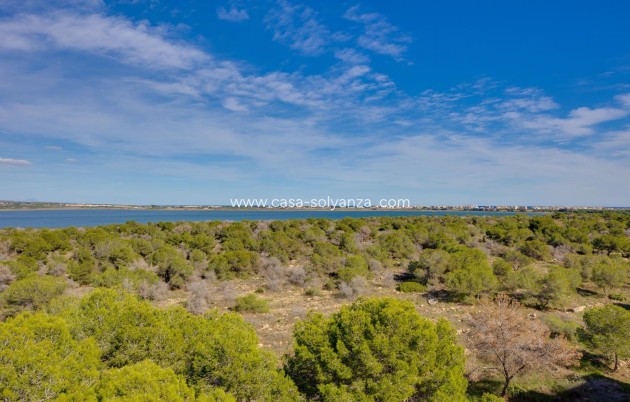 Revente - Appartement - Torrevieja - La Siesta