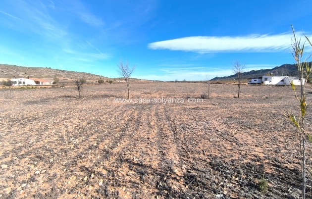 Revente - Country Property/Finca - Yecla - Inland