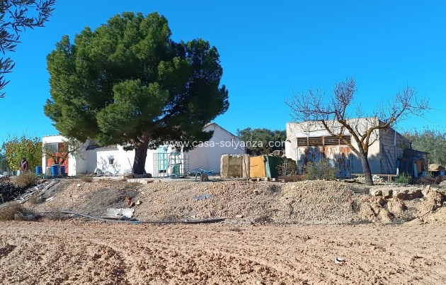 Revente - Country Property/Finca - Yecla - Inland