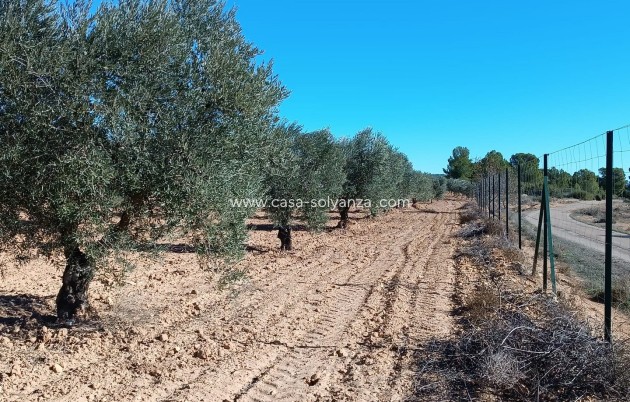 Revente - Country Property/Finca - Yecla - Inland