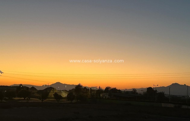 Wiederverkauf - Villa - Benferri