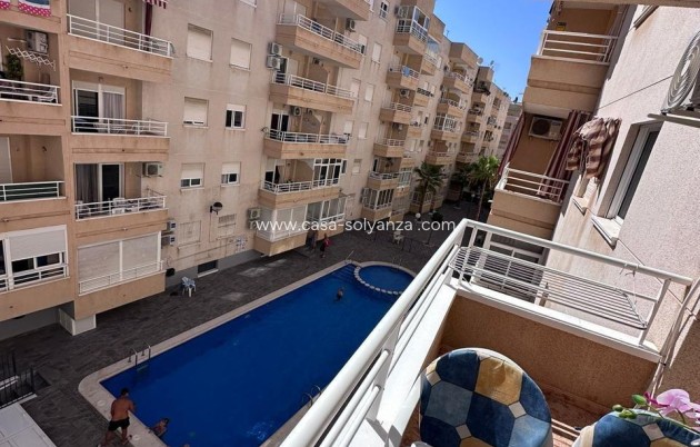 Revente - Appartement - Torrevieja - Centro - Muelle Pesquero