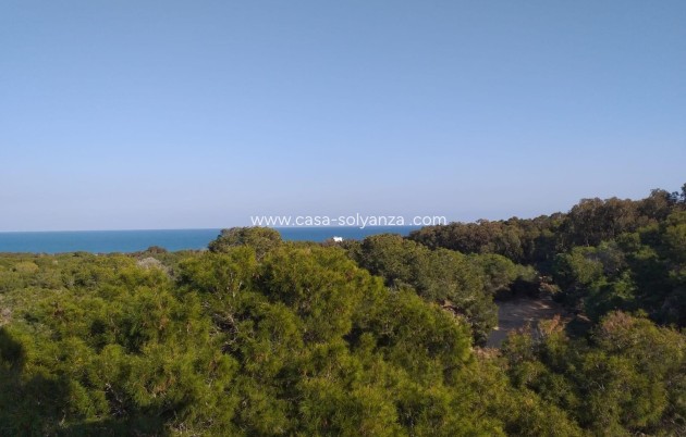 Nouvelle construction - Ground floor apartment - Guardamar del Segura - Pueblo