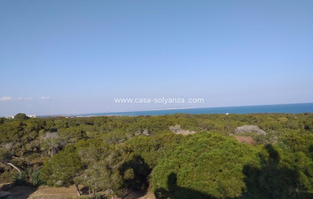 Nouvelle construction - Appartement - Guardamar del Segura - Pueblo