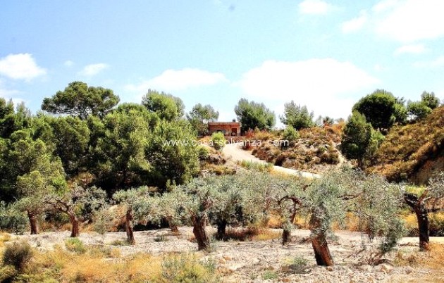 Wiederverkauf - Country Property/Finca - Murcia - Inland