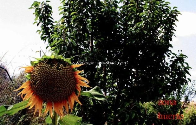 Wiederverkauf - Country Property/Finca - Murcia - Inland