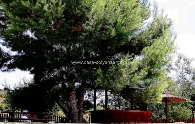 Wiederverkauf - Country Property/Finca - Murcia - Inland