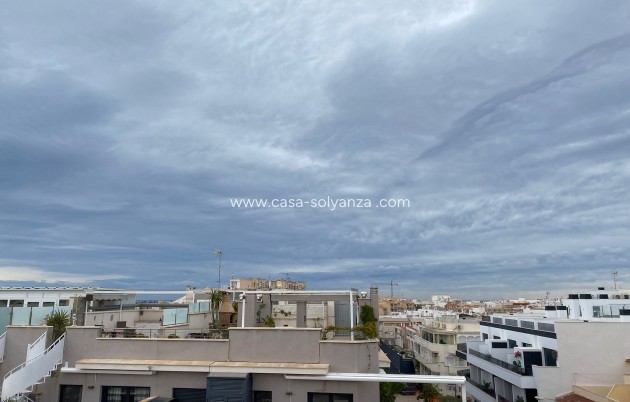 Wiederverkauf - Wohnung - Torrevieja - Costa Blanca