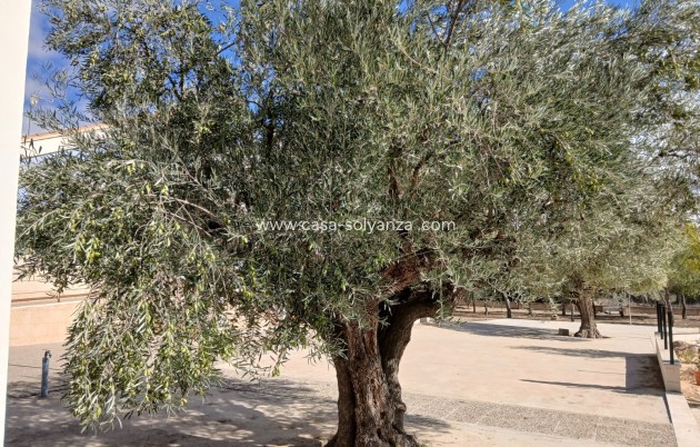 Revente - Villa - Yecla - Inland