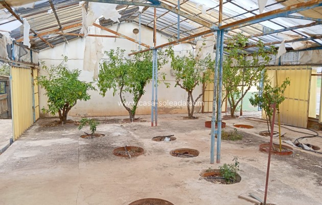 Revente - Villa - Yecla - Inland