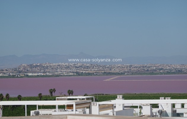 Revente - Appartement - Torrevieja - Los Balcones