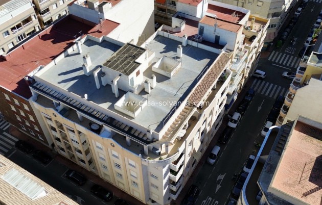 Wiederverkauf - Wohnung - Torrevieja