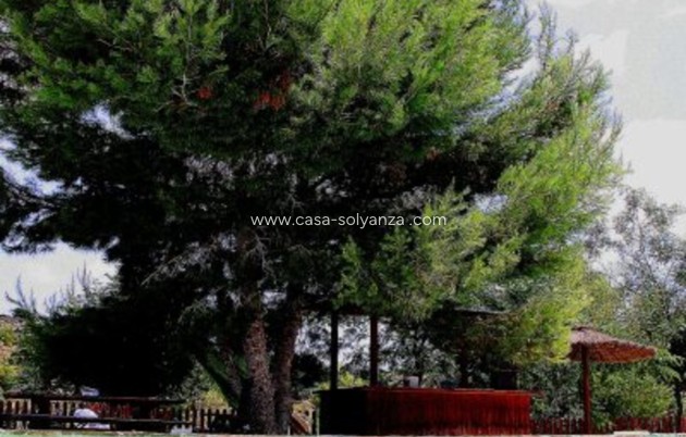 Wiederverkauf - Country Property/Finca - Gea Y Truyols