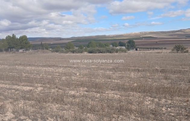 Revente - Land - Yecla - Inland