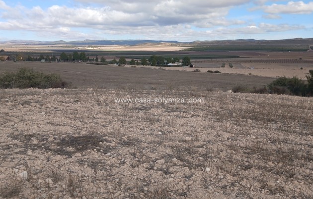 Revente - Land - Yecla - Inland