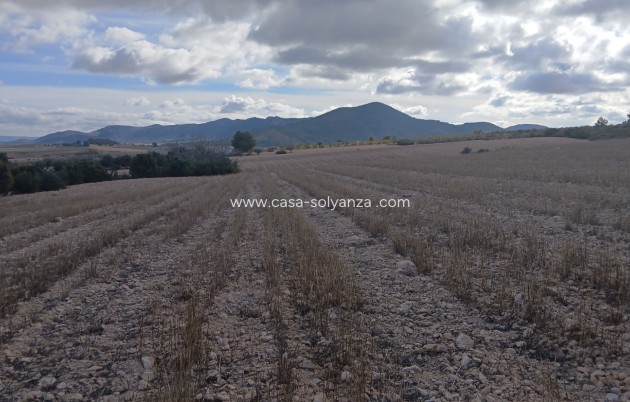 Revente - Land - Yecla - Inland