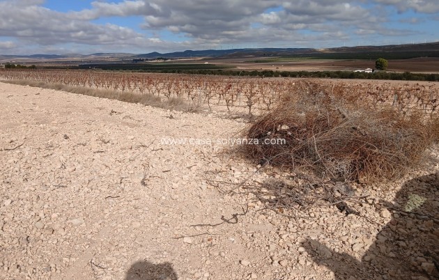 Revente - Land - Yecla - Inland