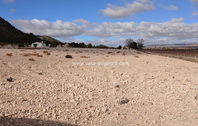 Revente - Land - Yecla - Inland
