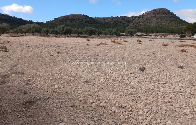 Revente - Land - Yecla - Inland