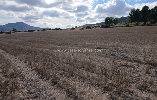 Revente - Land - Yecla - Inland