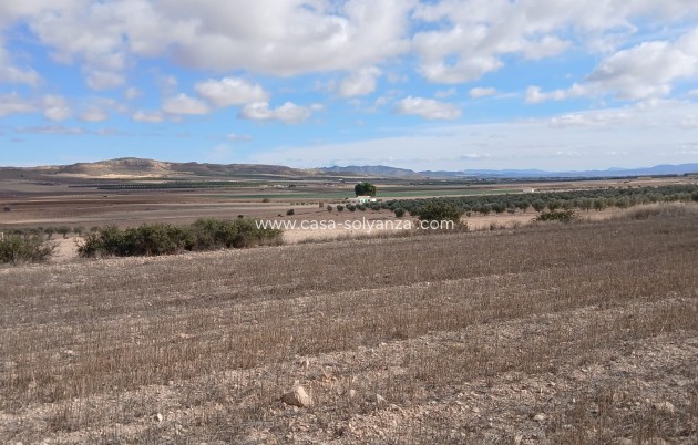 Revente - Land - Yecla - Inland