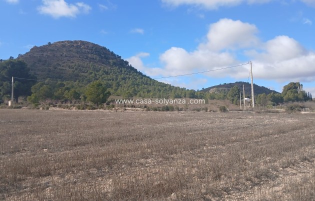 Revente - Land - Yecla - Inland