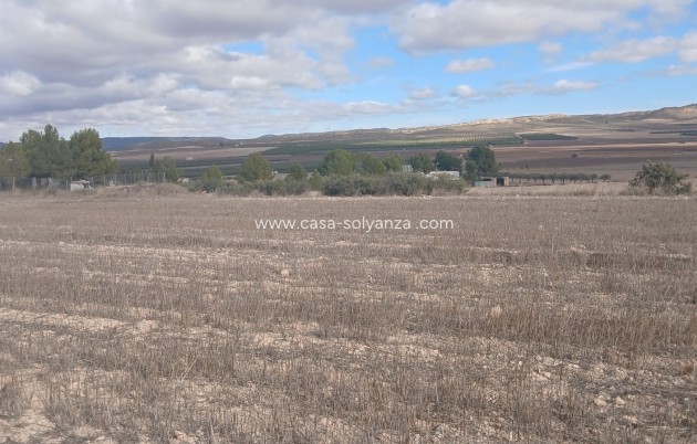 Revente - Land - Yecla - Inland