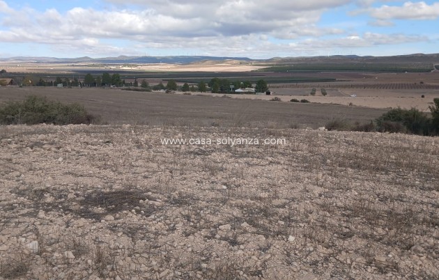 Revente - Land - Yecla - Inland