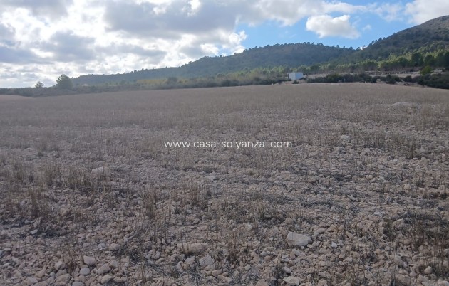 Revente - Land - Yecla - Inland