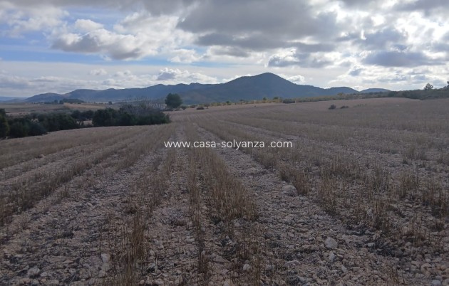 Revente - Land - Yecla - Inland