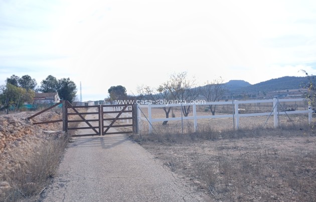 Revente - Maison de ville - Monóvar - Inland