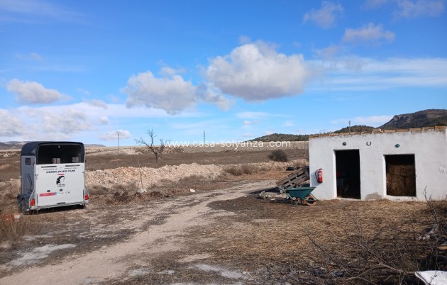 Revente - Maison de ville - Monóvar - Inland