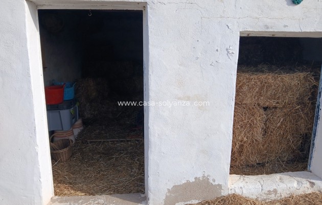 Revente - Maison de ville - Monóvar - Inland