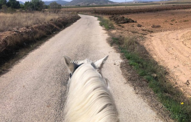 Revente - Maison de ville - Monóvar - Inland