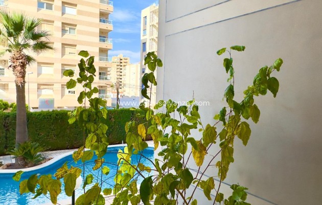 Herverkoop - Appartement / flat - Torrevieja - Playa del Cura