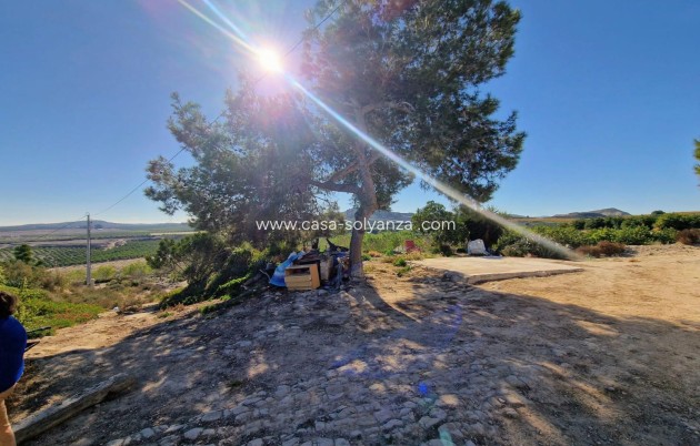 Revente - detached house - Orihuela - Hurchillo