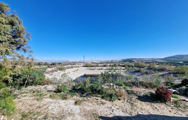 Revente - detached house - Orihuela - Hurchillo