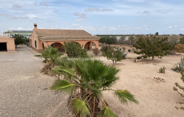 Revente - Maison de ville - Fuente Alamo - Inland