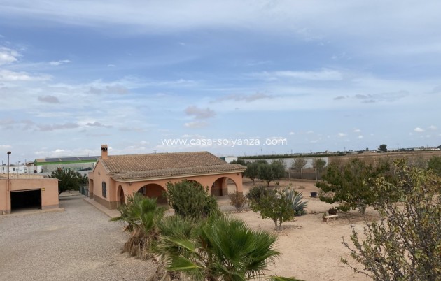 Revente - Maison de ville - Fuente Alamo - Inland