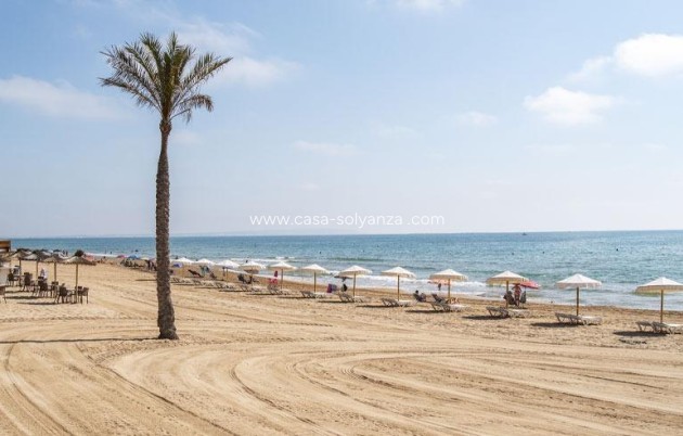 Nouvelle construction - Appartement - Guardamar del Segura - Pueblo