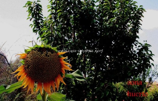 Revente - Country Property/Finca - Murcia - Inland