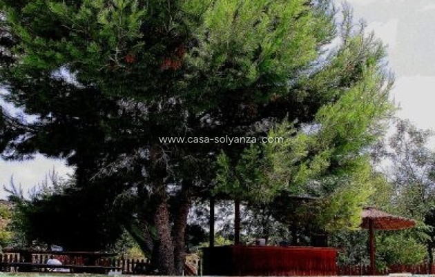 Revente - Country Property/Finca - Murcia - Inland