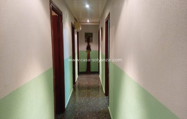 Revente - Appartement - Orihuela - Orihuela Ciudad