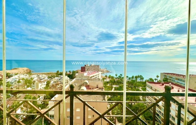 Revente - Appartement - Torrevieja - Los Frutales