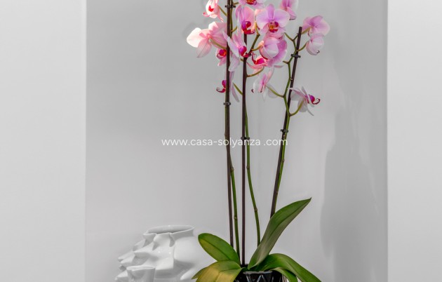 Wiederverkauf - Villa - Guardamar del Segura