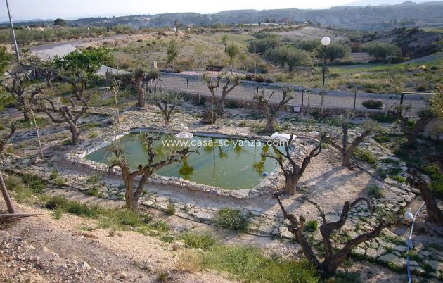 Revente - Villa - Abanilla - Inland